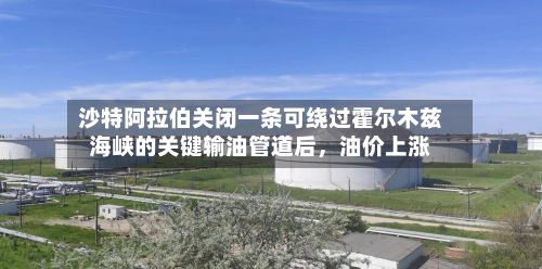 沙特阿拉伯关闭一条可绕过霍尔木兹海峡的关键输油管道后，油价上涨-第3张图片