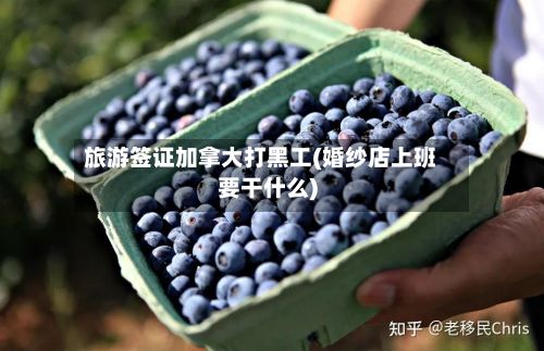 旅游签证加拿大打黑工(婚纱店上班要干什么)