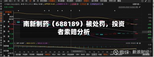 南新制药（688189）被处罚	，投资者索赔分析-第3张图片