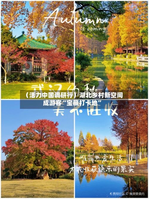 （活力中国调研行）湖北乡村新空间成游客“宝藏打卡地”-第2张图片