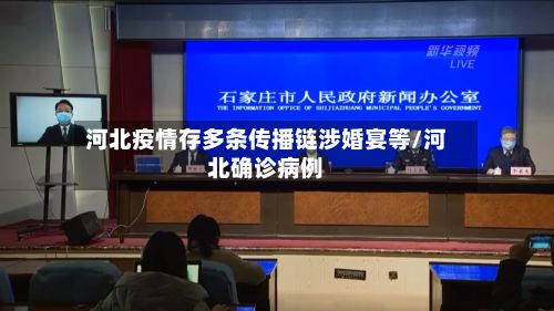 河北疫情存多条传播链涉婚宴等/河北确诊病例