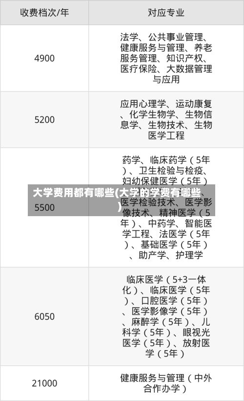 大学费用都有哪些(大学的学费有哪些)-第2张图片