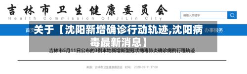 关于【沈阳新增确诊行动轨迹,沈阳病毒最新消息】-第2张图片