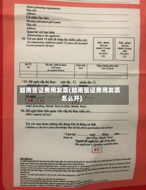 越南签证费用发票(越南签证费用发票怎么开)