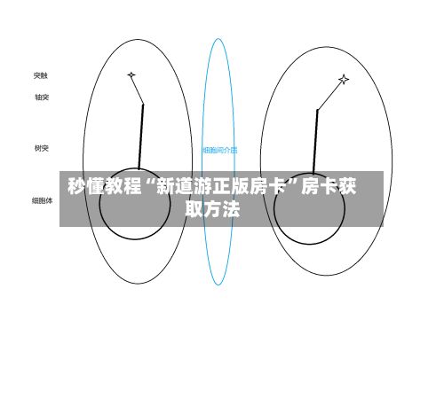 秒懂教程“新道游正版房卡”房卡获取方法