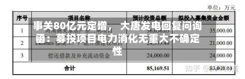 事关80亿元定增， 大唐发电回复问询函：募投项目电力消化无重大不确定性