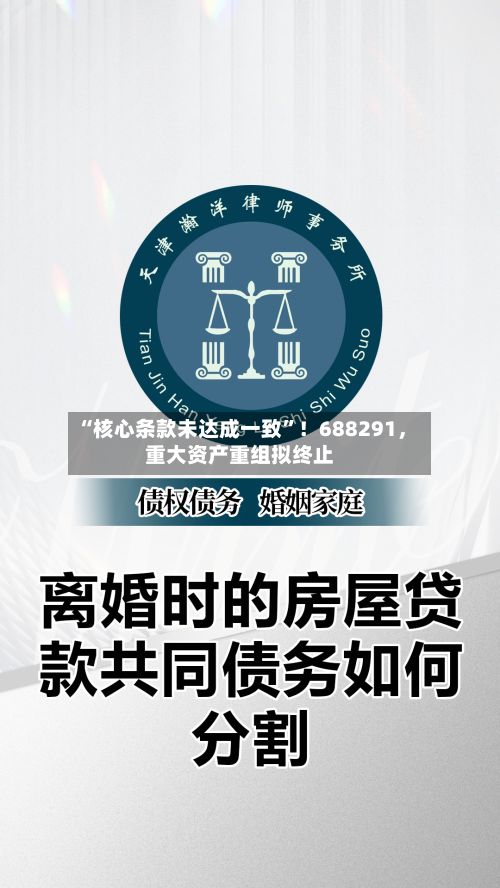 “核心条款未达成一致	”！688291，重大资产重组拟终止-第2张图片