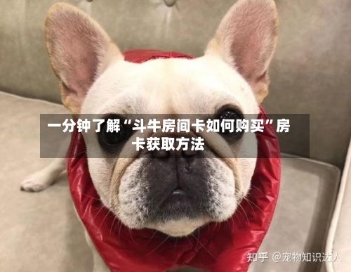 一分钟了解“斗牛房间卡如何购买	”房卡获取方法-第3张图片