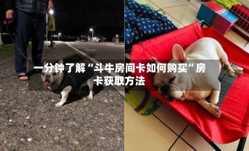 一分钟了解“斗牛房间卡如何购买	”房卡获取方法-第2张图片