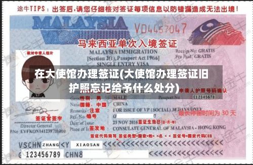 在大使馆办理签证(大使馆办理签证旧护照忘记给予什么处分)