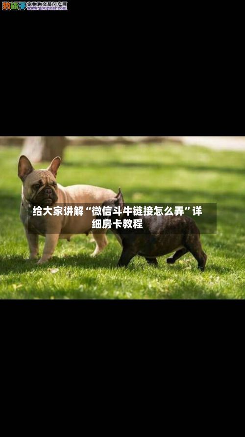 给大家讲解“微信斗牛链接怎么弄”详细房卡教程-第2张图片
