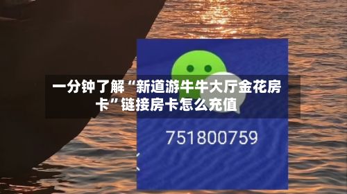 一分钟了解“新道游牛牛大厅金花房卡”链接房卡怎么充值-第2张图片