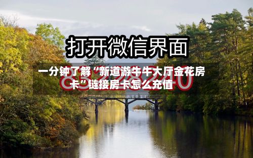 一分钟了解“新道游牛牛大厅金花房卡”链接房卡怎么充值