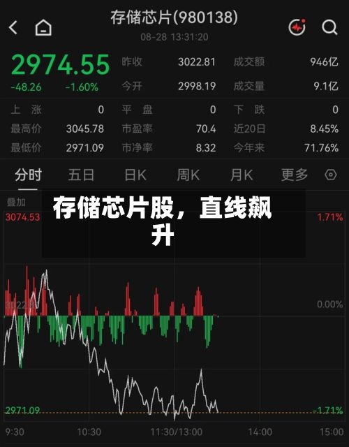 存储芯片股，直线飙升