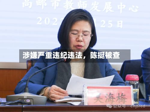 涉嫌严重违纪违法，陈挺被查-第2张图片
