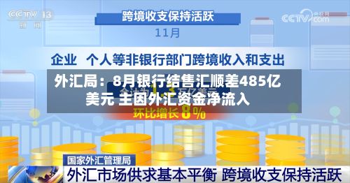 外汇局：8月银行结售汇顺差485亿美元 主因外汇资金净流入-第2张图片