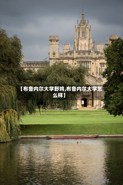 【布鲁内尔大学野鸡,布鲁内尔大学怎么样】-第3张图片