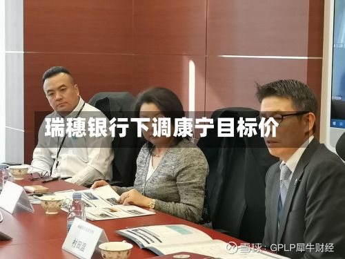 瑞穗银行下调康宁目标价-第2张图片