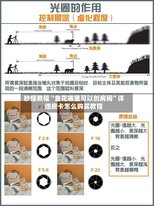 秒懂教程“金花哪里可以创房间	”详细房卡怎么购买教程-第2张图片