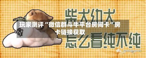 玩家测评“微信群斗牛平台房间卡	”房卡链接获取-第2张图片