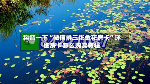 科普一下“微信拼三张金花房卡”详细房卡怎么购买教程