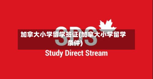 加拿大小学留学签证(加拿大小学留学条件)
