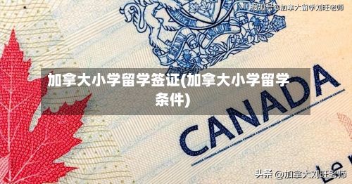 加拿大小学留学签证(加拿大小学留学条件)-第3张图片