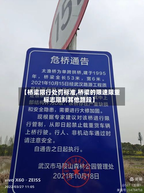 【桥梁限行处罚标准,桥梁的限速限重标志限制其他路段】-第2张图片